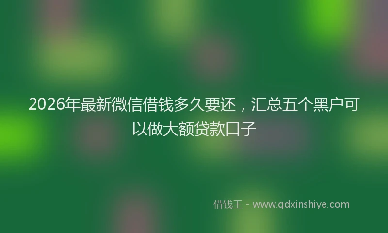 2026年最新微信借钱多久要还，汇总五个黑户可以做大额贷款口子