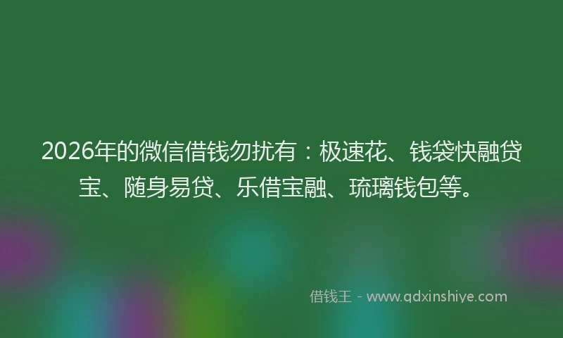 2026年的微信借钱勿扰有：极速花、钱袋快融贷宝、随身易贷、乐借宝融、琉璃钱包等。