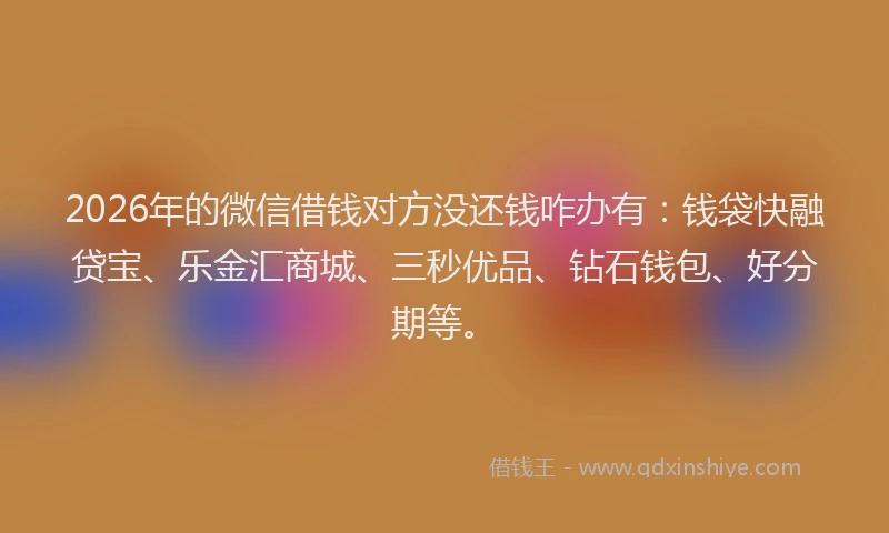 2026年的微信借钱对方没还钱咋办有：钱袋快融贷宝、乐金汇商城、三秒优品、钻石钱包、好分期等。