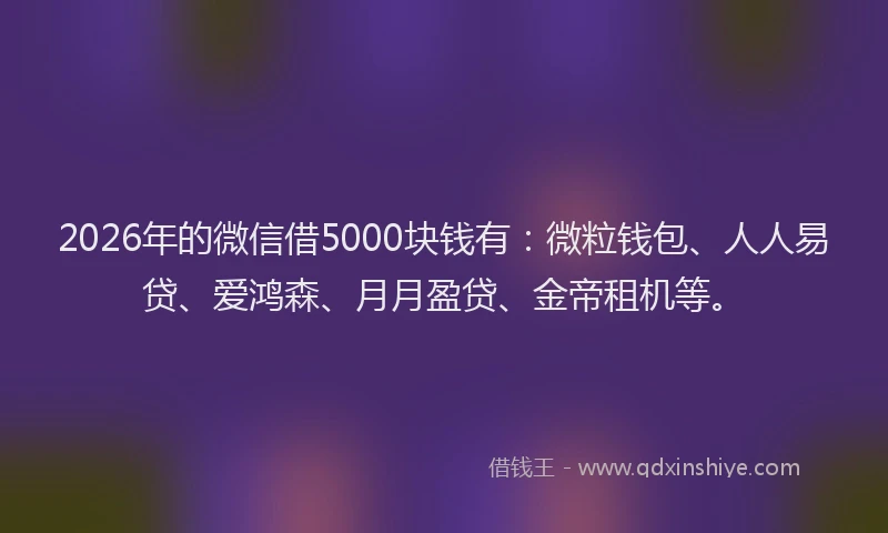 2026年的微信借5000块钱有：微粒钱包、人人易贷、爱鸿森、月月盈贷、金帝租机等。