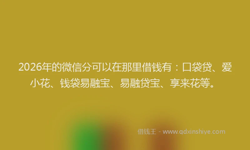 2026年的微信分可以在那里借钱有：口袋贷、爱小花、钱袋易融宝、易融贷宝、享来花等。