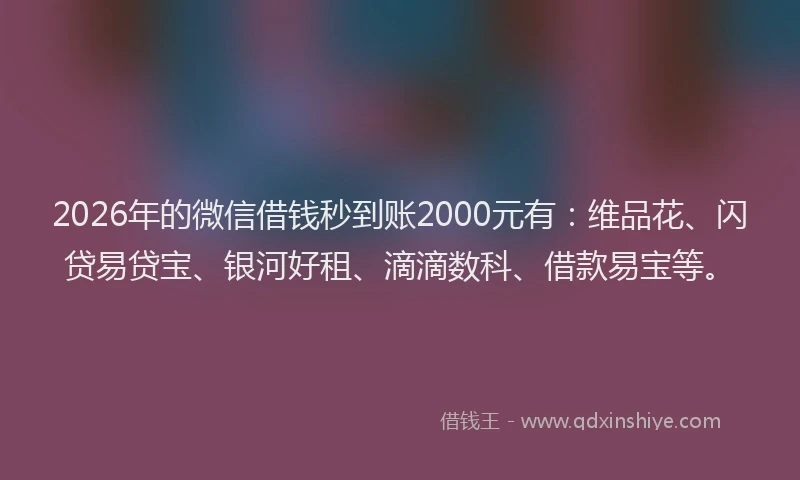 2026年的微信借钱秒到账2000元有：维品花、闪贷易贷宝、银河好租、滴滴数科、借款易宝等。