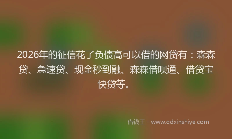 2026年的征信花了负债高可以借的网贷有：森森贷、急速贷、现金秒到融、森森借呗通、借贷宝快贷等。