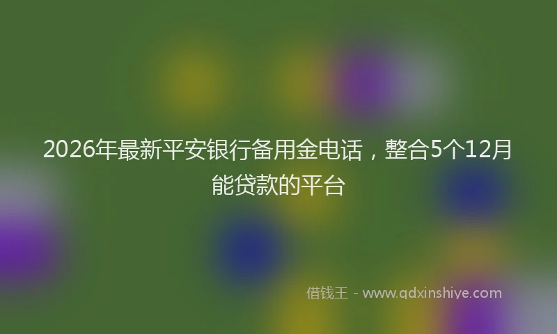 2026年最新平安银行备用金电话，整合5个12月能贷款的平台