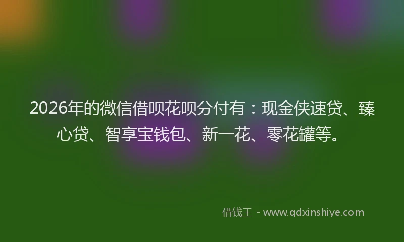 2026年的微信借呗花呗分付有：现金侠速贷、臻心贷、智享宝钱包、新一花、零花罐等。