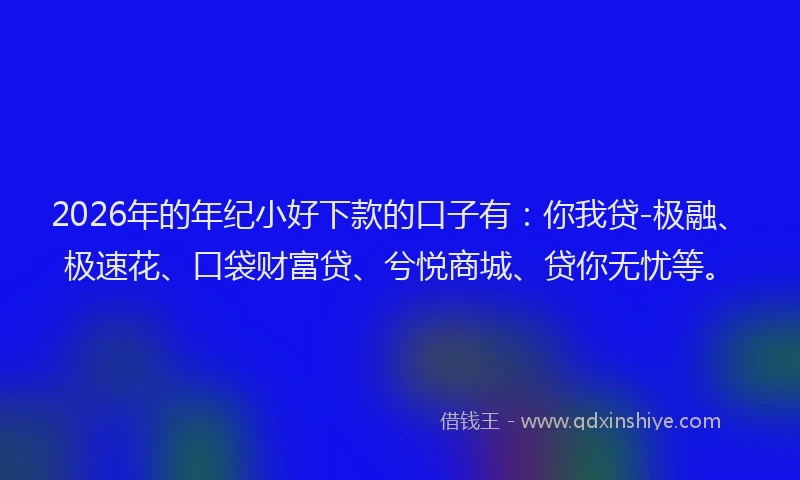 2026年的年纪小好下款的口子有：你我贷-极融、极速花、口袋财富贷、兮悦商城、贷你无忧等。