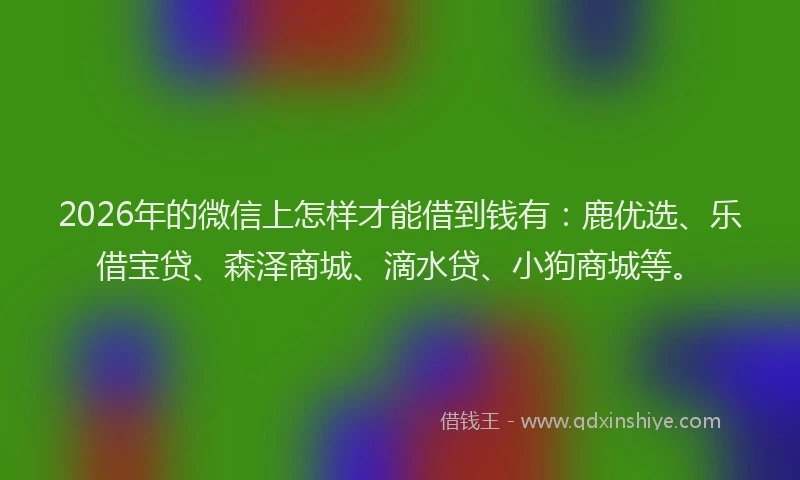 2026年的微信上怎样才能借到钱有：鹿优选、乐借宝贷、森泽商城、滴水贷、小狗商城等。
