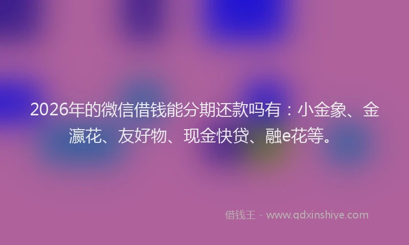 2026年的微信借钱能分期还款吗有：小金象、金瀛花、友好物、现金快贷、融e花等。