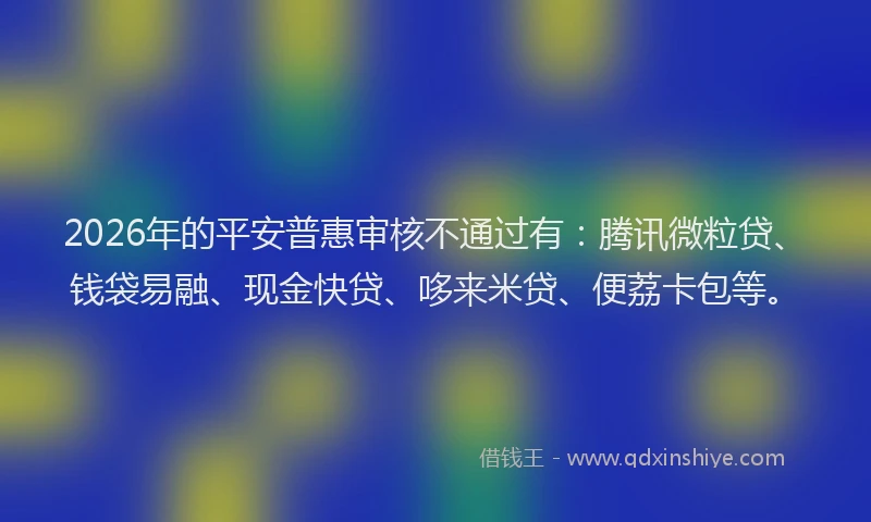 2026年的平安普惠审核不通过有：腾讯微粒贷、钱袋易融、现金快贷、哆来米贷、便荔卡包等。