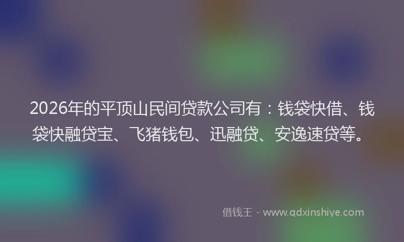 2026年的平顶山民间贷款公司有：钱袋快借、钱袋快融贷宝、飞猪钱包、迅融贷、安逸速贷等。