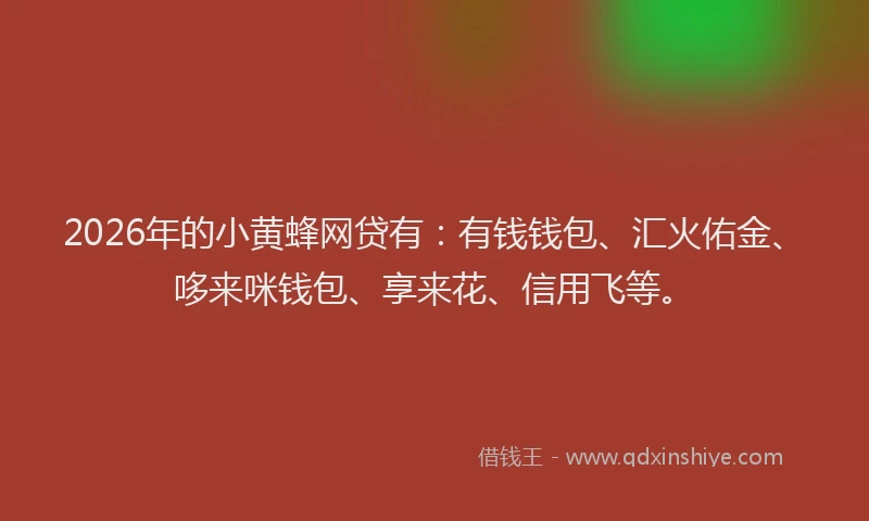 2026年的小黄蜂网贷有：有钱钱包、汇火佑金、哆来咪钱包、享来花、信用飞等。