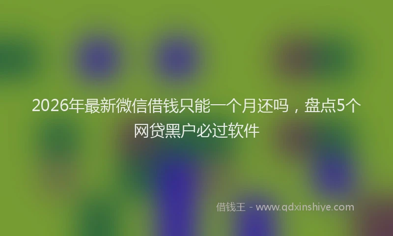 2026年最新微信借钱只能一个月还吗，盘点5个网贷黑户必过软件