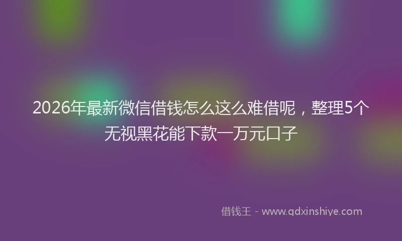 2026年最新微信借钱怎么这么难借呢，整理5个无视黑花能下款一万元口子