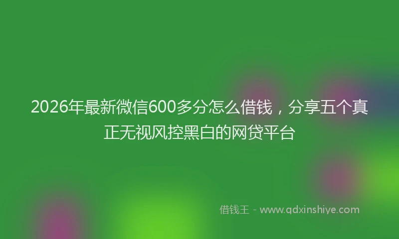 2026年最新微信600多分怎么借钱，分享五个真正无视风控黑白的网贷平台