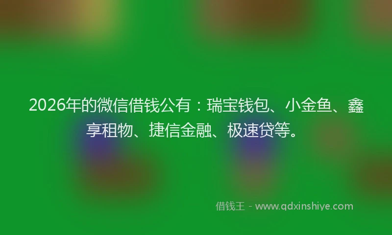 2026年的微信借钱公有：瑞宝钱包、小金鱼、鑫享租物、捷信金融、极速贷等。