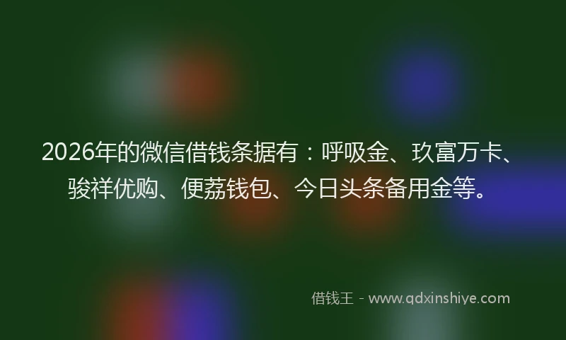 2026年的微信借钱条据有：呼吸金、玖富万卡、骏祥优购、便荔钱包、今日头条备用金等。