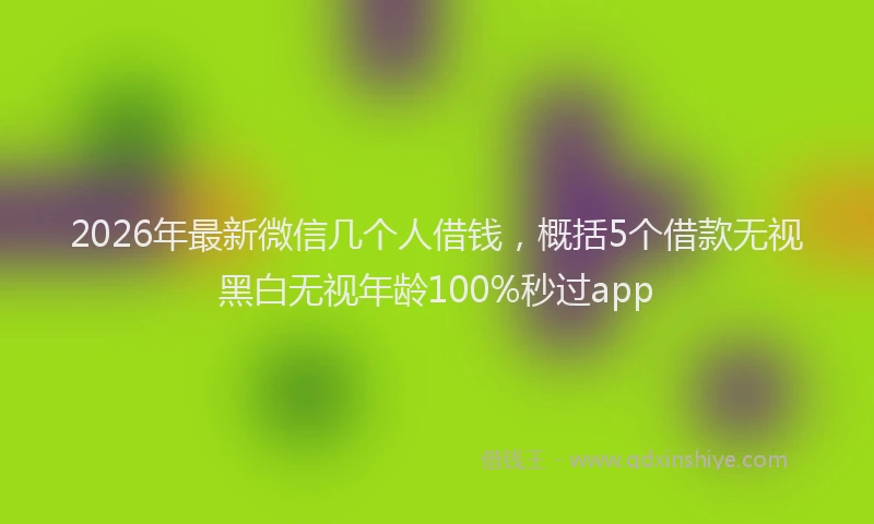 2026年最新微信几个人借钱，概括5个借款无视黑白无视年龄100%秒过app
