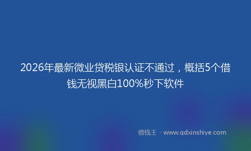 2026年最新微业贷税银认证不通过，概括5个借钱无视黑白100%秒下软件