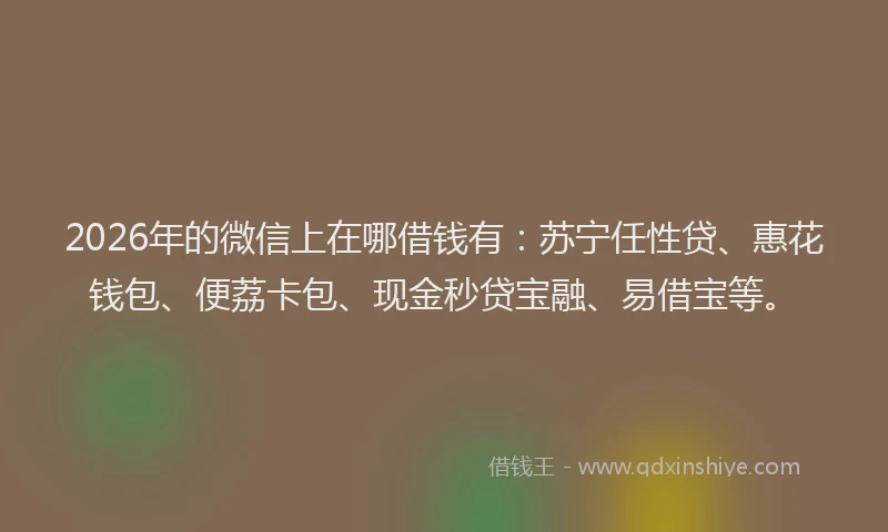 2026年的微信上在哪借钱有：苏宁任性贷、惠花钱包、便荔卡包、现金秒贷宝融、易借宝等。