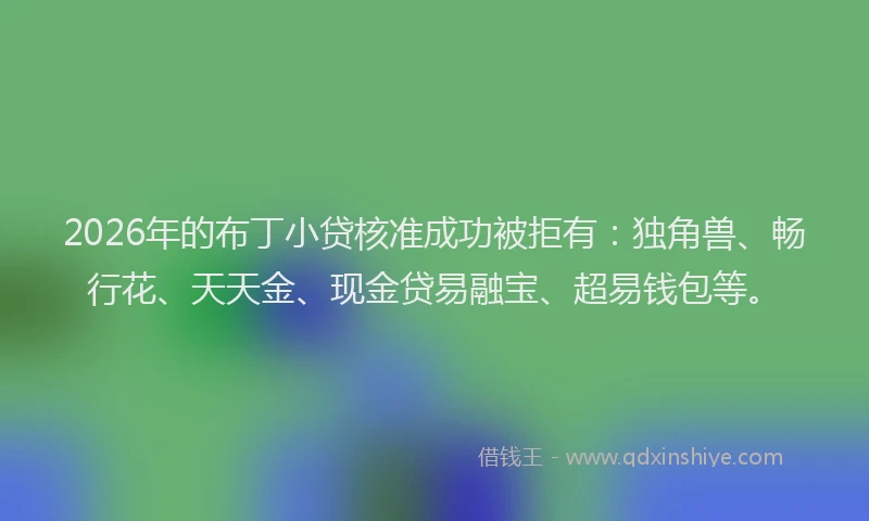 2026年的布丁小贷核准成功被拒有：独角兽、畅行花、天天金、现金贷易融宝、超易钱包等。
