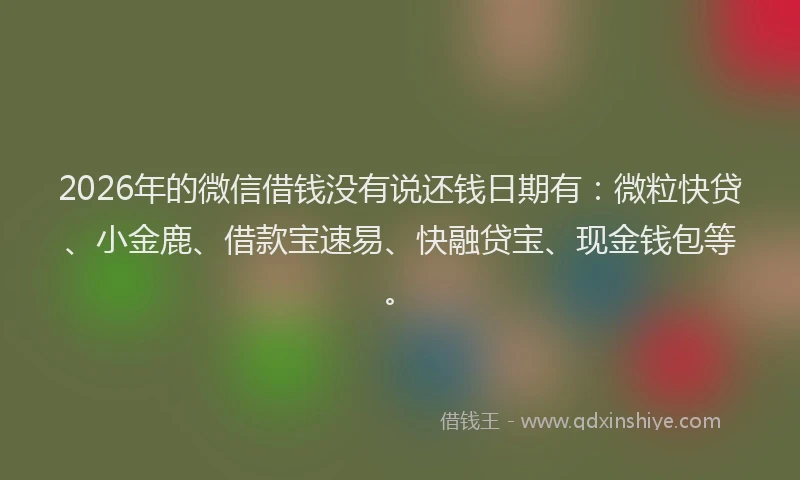 2026年的微信借钱没有说还钱日期有：微粒快贷、小金鹿、借款宝速易、快融贷宝、现金钱包等。