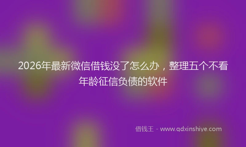 2026年最新微信借钱没了怎么办，整理五个不看年龄征信负债的软件