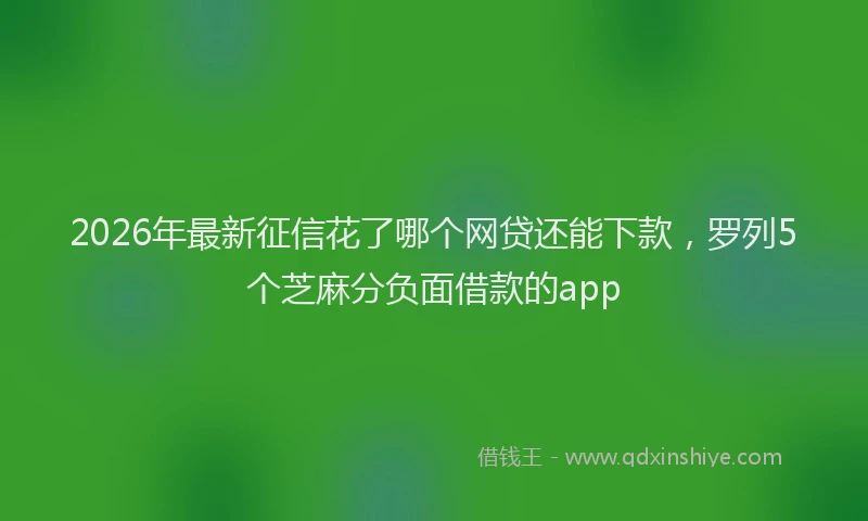 2026年最新征信花了哪个网贷还能下款，罗列5个芝麻分负面借款的app