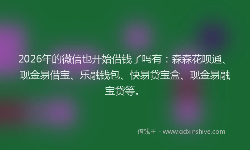 2026年的微信也开始借钱了吗有：森森花呗通、现金易借宝、乐融钱包、快易贷宝盒、现金易融宝贷等。