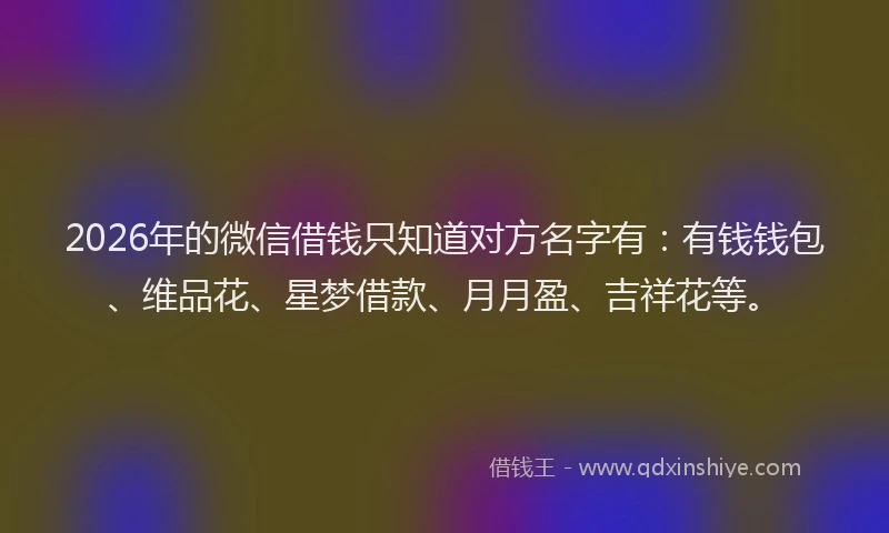 2026年的微信借钱只知道对方名字有：有钱钱包、维品花、星梦借款、月月盈、吉祥花等。