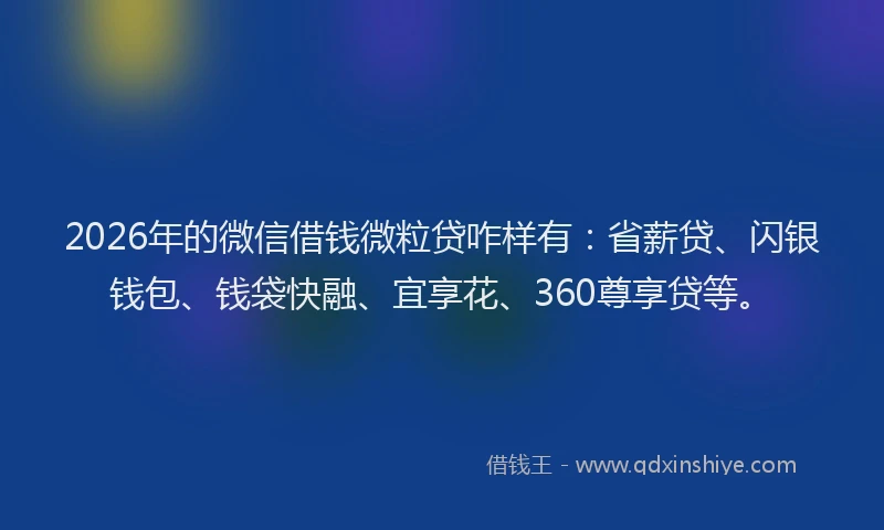 2026年的微信借钱微粒贷咋样有：省薪贷、闪银钱包、钱袋快融、宜享花、360尊享贷等。