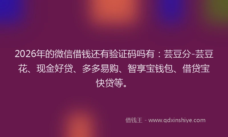 2026年的微信借钱还有验证码吗有：芸豆分-芸豆花、现金好贷、多多易购、智享宝钱包、借贷宝快贷等。
