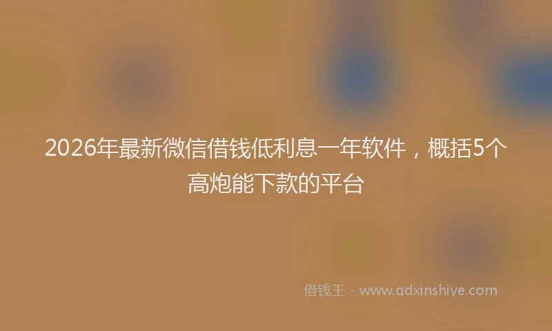 2026年最新微信借钱低利息一年软件，概括5个高炮能下款的平台