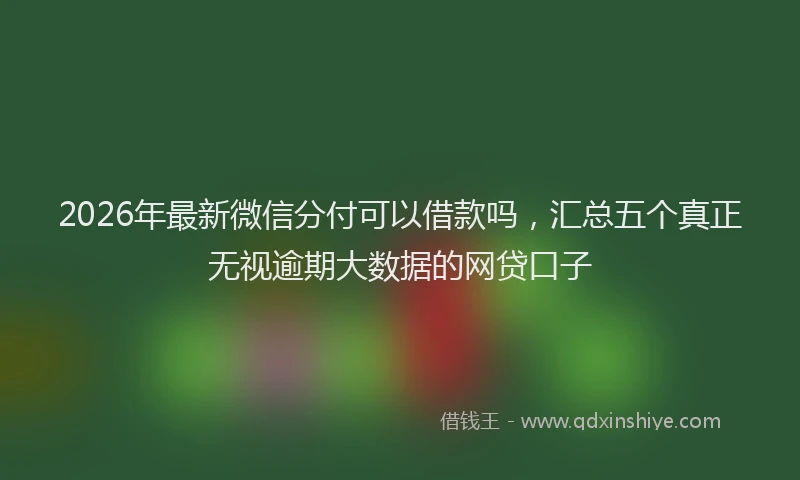 2026年最新微信分付可以借款吗，汇总五个真正无视逾期大数据的网贷口子