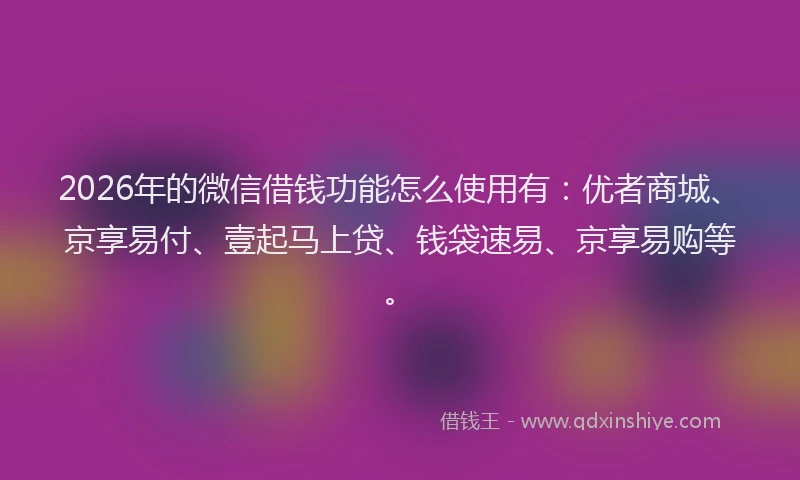 2026年的微信借钱功能怎么使用有：优者商城、京享易付、壹起马上贷、钱袋速易、京享易购等。