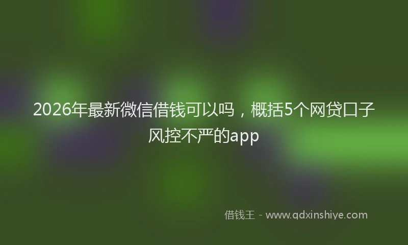 2026年最新微信借钱可以吗，概括5个网贷口子风控不严的app