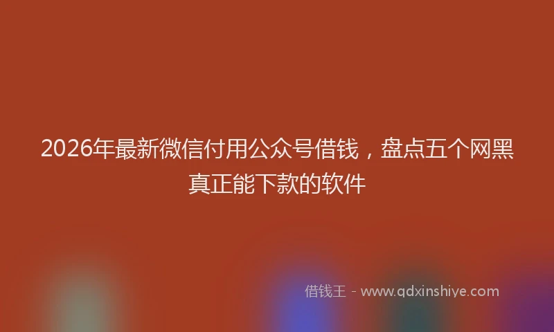 2026年最新微信付用公众号借钱，盘点五个网黑真正能下款的软件
