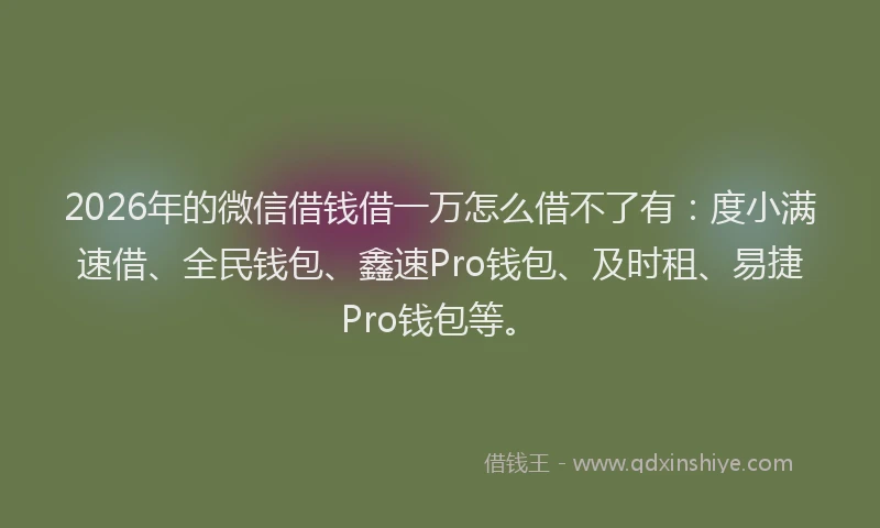 2026年的微信借钱借一万怎么借不了有：度小满速借、全民钱包、鑫速Pro钱包、及时租、易捷Pro钱包等。