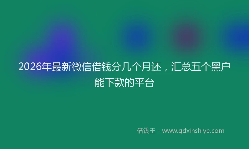 2026年最新微信借钱分几个月还，汇总五个黑户能下款的平台