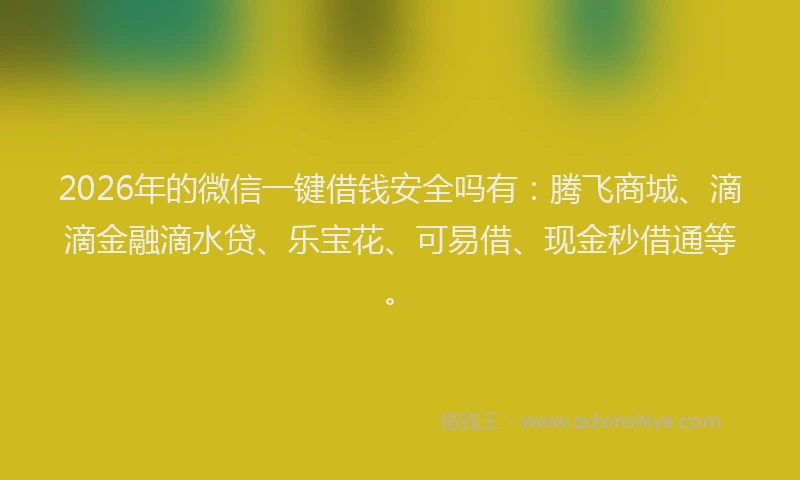 2026年的微信一键借钱安全吗有：腾飞商城、滴滴金融滴水贷、乐宝花、可易借、现金秒借通等。