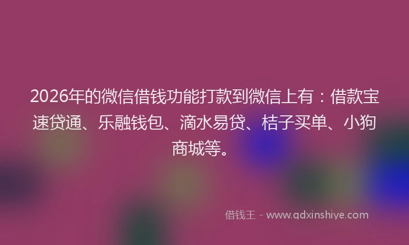 2026年的微信借钱功能打款到微信上有：借款宝速贷通、乐融钱包、滴水易贷、桔子买单、小狗商城等。