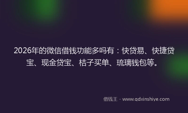 2026年的微信借钱功能多吗有：快贷易、快捷贷宝、现金贷宝、桔子买单、琉璃钱包等。