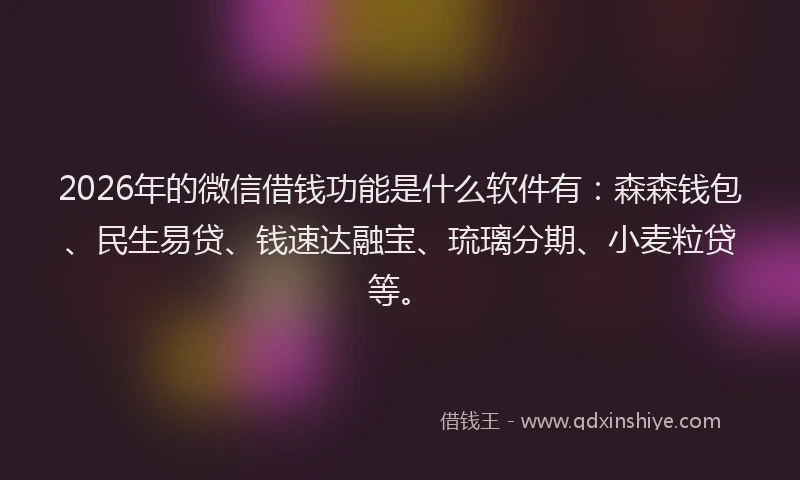 2026年的微信借钱功能是什么软件有：森森钱包、民生易贷、钱速达融宝、琉璃分期、小麦粒贷等。