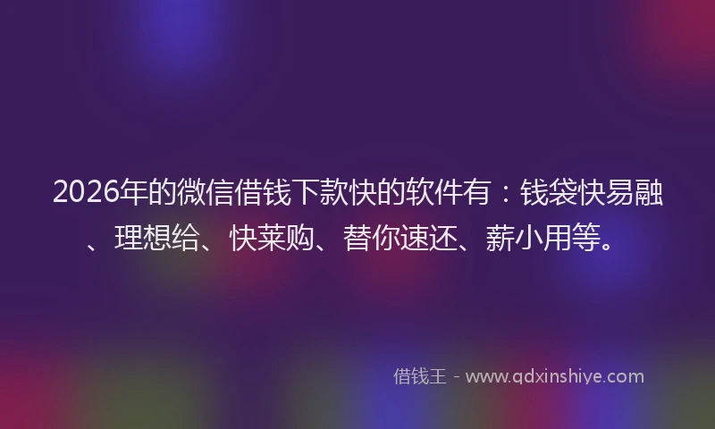 2026年的微信借钱下款快的软件有：钱袋快易融、理想给、快莱购、替你速还、薪小用等。