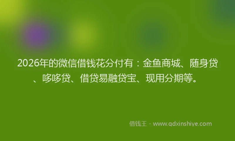 2026年的微信借钱花分付有：金鱼商城、随身贷、哆哆贷、借贷易融贷宝、现用分期等。