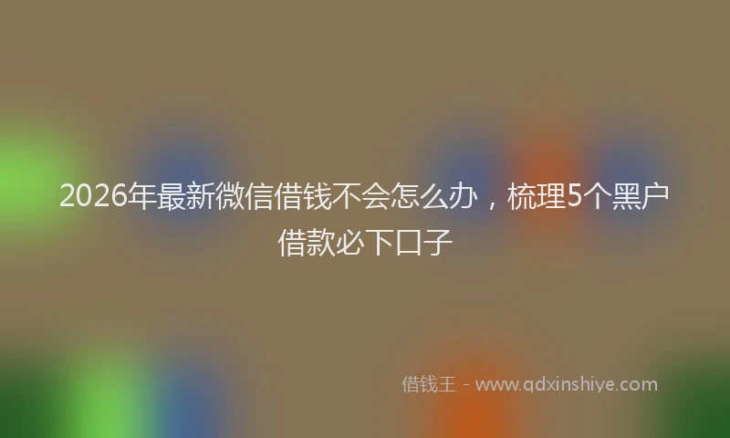 2026年最新微信借钱不会怎么办，梳理5个黑户借款必下口子