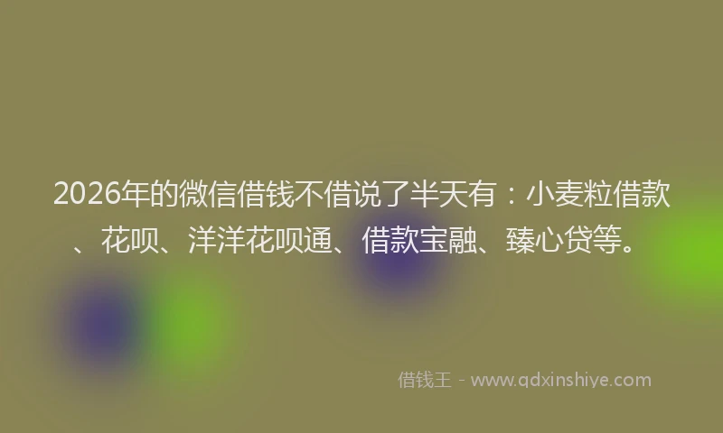 2026年的微信借钱不借说了半天有：小麦粒借款、花呗、洋洋花呗通、借款宝融、臻心贷等。