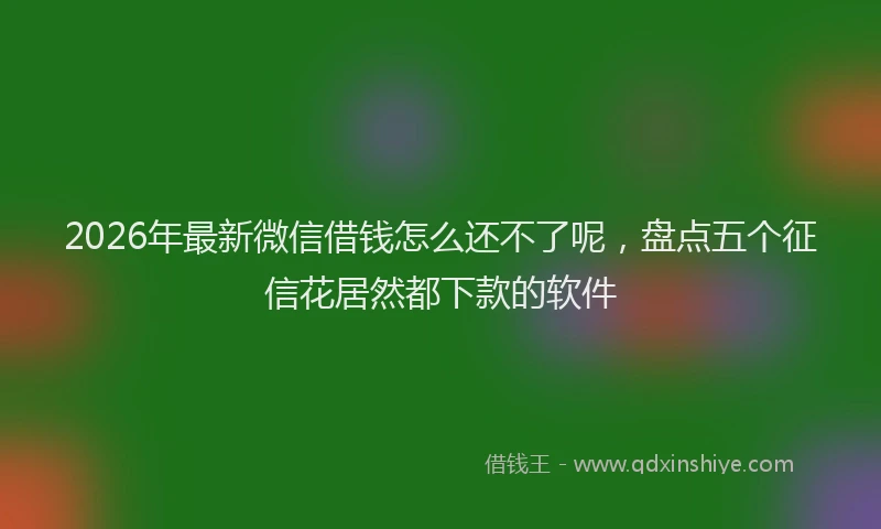 2026年最新微信借钱怎么还不了呢，盘点五个征信花居然都下款的软件
