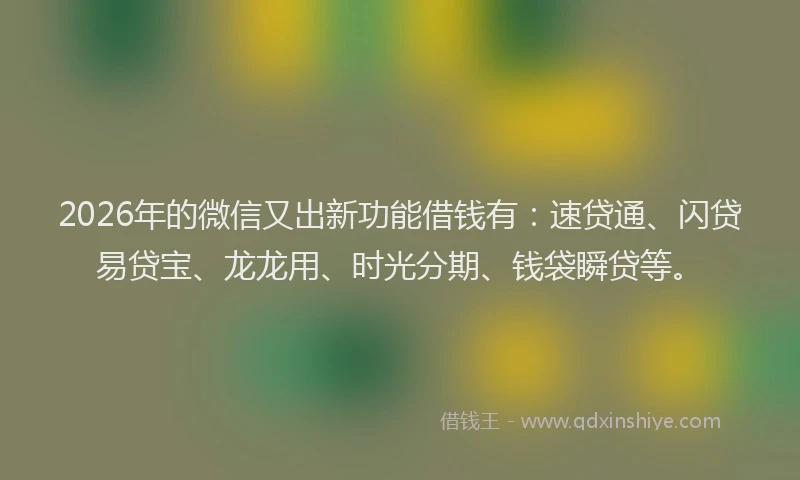 2026年的微信又出新功能借钱有：速贷通、闪贷易贷宝、龙龙用、时光分期、钱袋瞬贷等。
