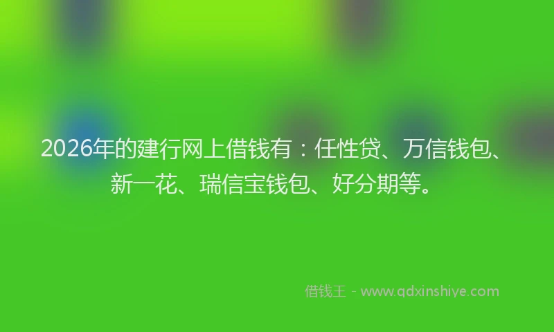 2026年的建行网上借钱有：任性贷、万信钱包、新一花、瑞信宝钱包、好分期等。