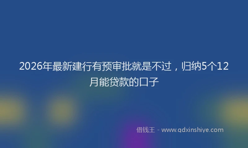2026年最新建行有预审批就是不过，归纳5个12月能贷款的口子